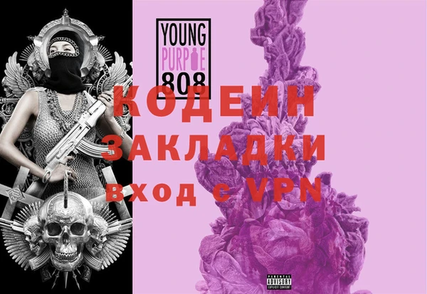 индика Покров