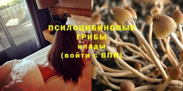 твердый Алзамай